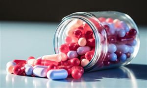 2024益生菌行业市场现状及供需趋势调查分析