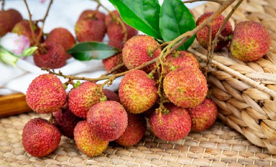 荔枝行业报告 荔枝产业发展分析