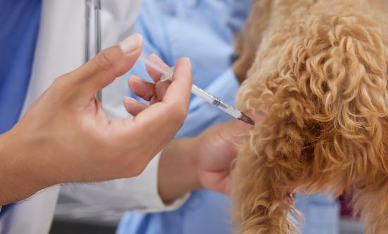 抗菌肽行业发展现状 抗菌肽市场投资及深度预测研究