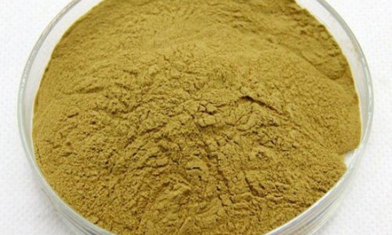 2024年中国绿原酸行业产业链上下游结构及重点企业