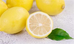 高原特色农业产业深度调研2024