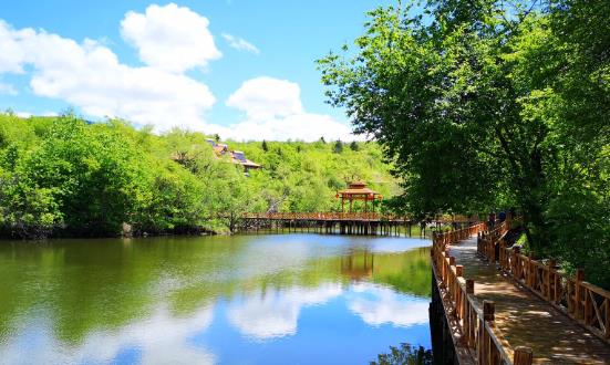 森林公园行业发展机遇与未来趋势：实现森林旅游产业向高质量发展