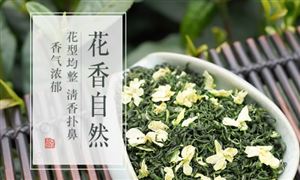 2024年中国茉莉花茶行业的市场发展现状及重点企业