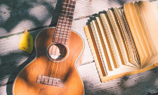 吉他行业市场深度分析报告2024