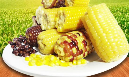 2024鲜食玉米行业市场深度分析：甜玉米基地面积不断扩大