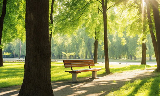 长椅行业市场需求及未来发展趋势预测