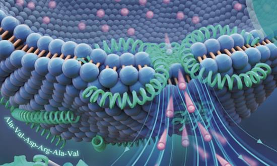 抗菌肽行业发展预测报告：抗菌肽在畜牧行业前景广阔