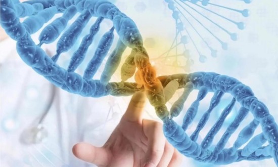 2024年中国肿瘤基因检测服务行业的产业链供需布局及发展趋势