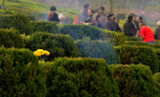 清明节假期全国共接待祭扫群众4755.86万人次 陵园墓地行业发展现状调查研究
