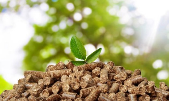 2024年中国生物质能发电行业的产业链分析及重点企业情况