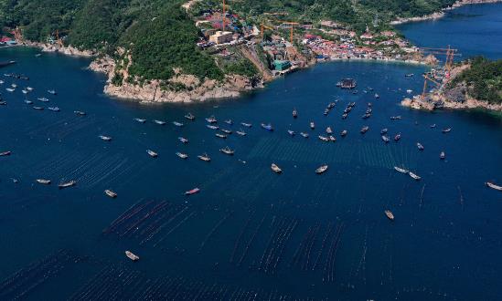 2024海洋牧场行业深度分析与风险投资