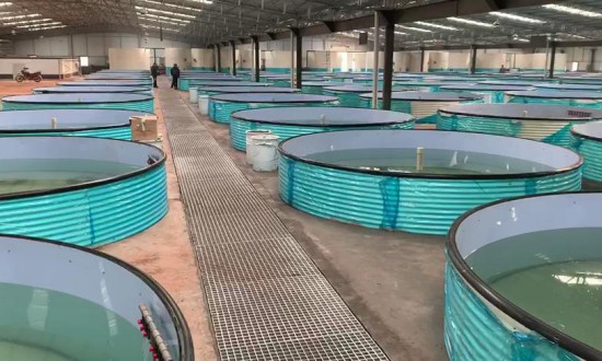 2024年中国水产养殖设备行业的产业链分析及市场发展现状