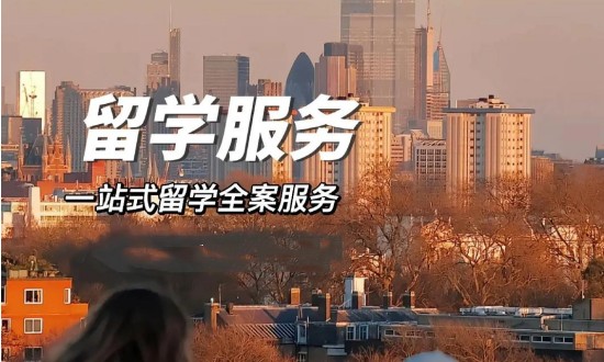 2024年留学服务行业的产业链供需布局及市场发展现状