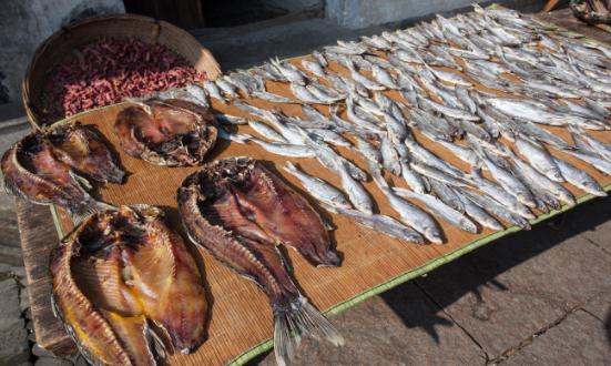 中国水产品行业波特五力模型分析