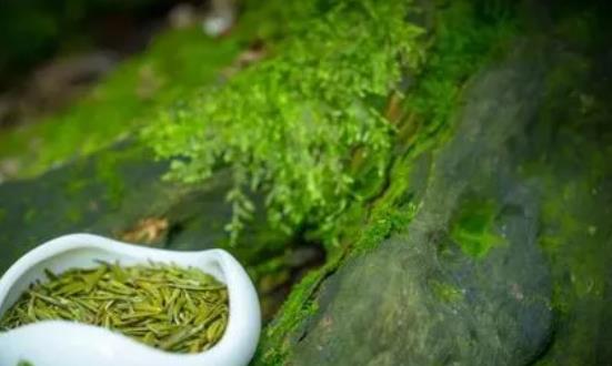 2024有机茶行业深度分析及前景预测：市场份额进一步提升