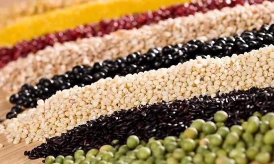 2024粮食加工行业市场发展环境与市场机遇