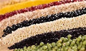 2024粮食加工行业市场发展环境与市场机遇