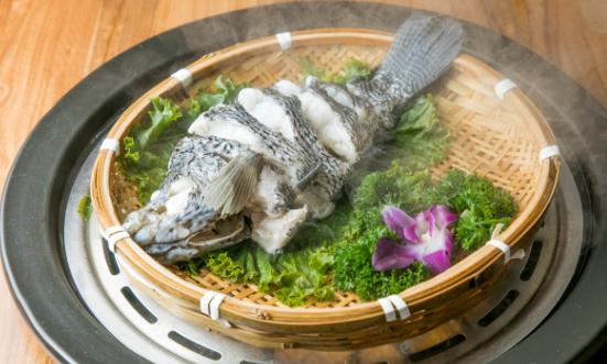 石斑鱼行业市场供需格局分析 石斑鱼养殖业将更加注重规模化生产