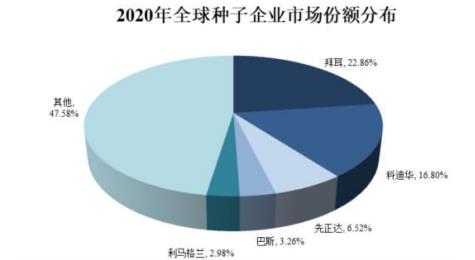 种子行业产业链及国际种业市场概况