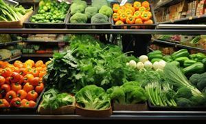 生鲜电商行业市场深度分析及发展规划咨询综合研究报告 上海春菜价格回落 高品质食材仍受热捧