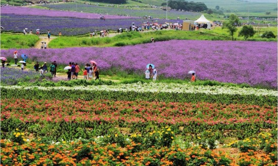 2024年中国休闲农业行业产业链的上下游结构及重点企业