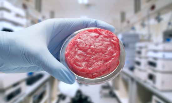 2024年中国人造肉行业的产业链上下游结构及发展趋势