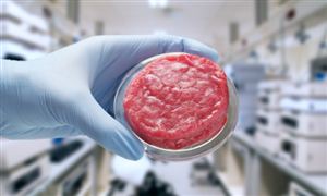 2024年中国人造肉行业的产业链上下游结构及发展趋势