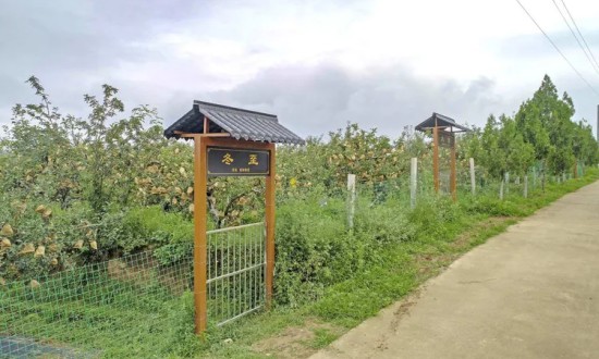 2024年示范农场行业的产业链上下游结构及发展趋势