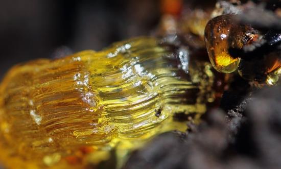 2024树脂行业发展研究：湖南石化环氧树脂一季度出口创新高