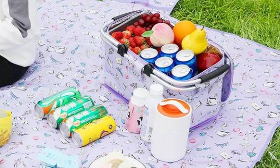 2024年中国野餐用品行业的产业链供需布局及市场发展现状