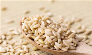 2024胚芽米行业发展状况及市场需求前景分析