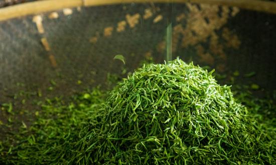 绿茶行业市场深度调研：2024年春茶产量增加价格趋稳