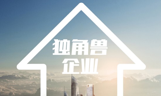 2024年中国独角兽企业的发展现状及发展前景分析