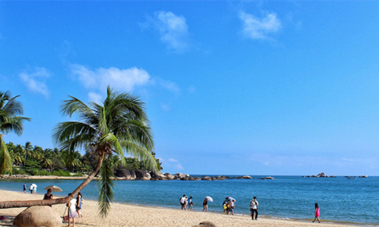 2024海南离岛免税行业市场预测：预计香化类和高端精品类将成为免税品销售的主要力量