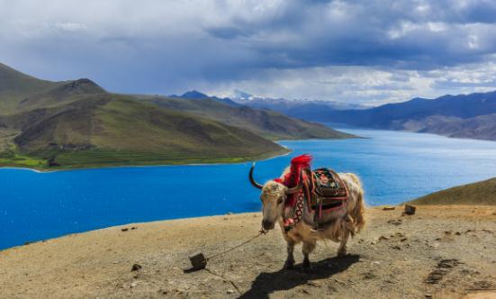生态旅游行业市场分析 生态旅游市场规模将持续扩大