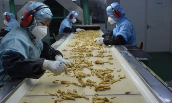 2024年中国中药饮片加工行业的产业链上下游结构及重点企业