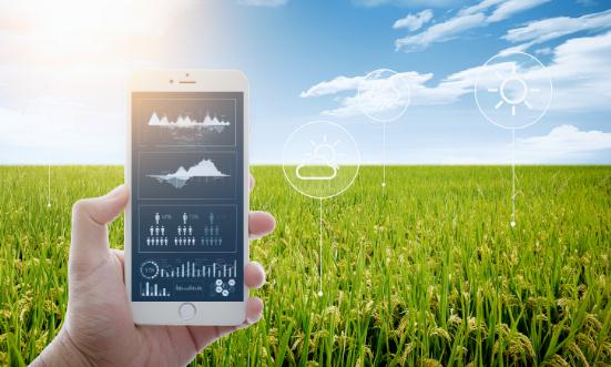 种植业行业发展现状及企业投资市场分析2024