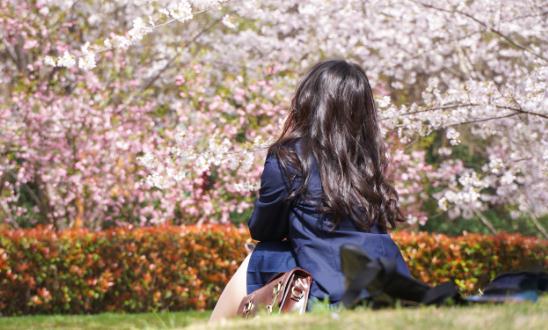 “她经济”下，女性洗液行业生存现状及发展趋势