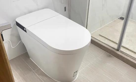 智能马桶行业发展前景潜力分析：智能马桶个性化、定制化需求逐渐凸显