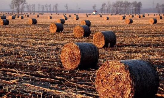 生物质能源行业产业链分析与投资机会：到2030年国内生物质年发电量达2240亿千瓦时