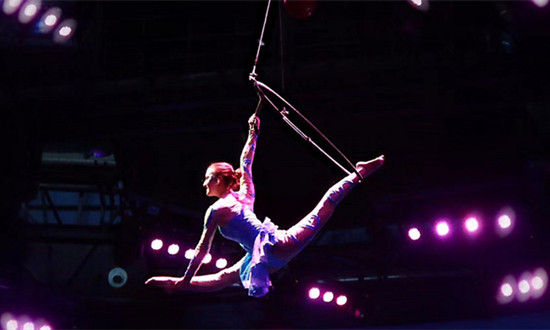 中国杂技行业商业模式及未来市场前景分析