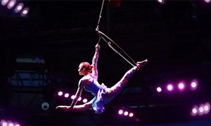 中国杂技行业商业模式及未来市场前景分析