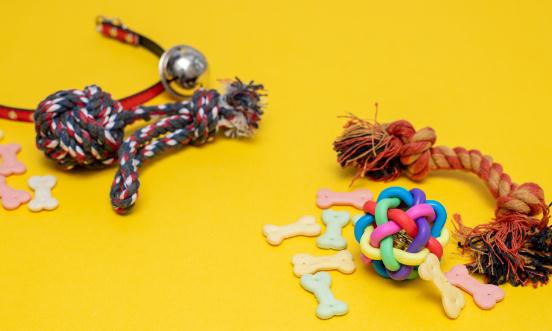 2024宠物用品行业市场深度调研 市场集中度仍有较大提升空间