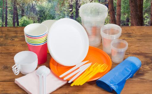 2024一次性塑料餐具产业市场分析与发展规划