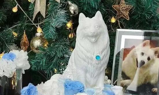 宠物殡葬服务产业现状利润分析：2023年宠物殡葬相关企业新增注册9300余家