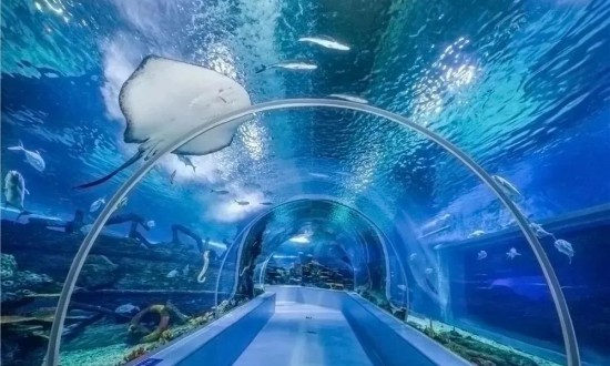 2024年中国海洋主题公园行业产业链供需布局及发展前景