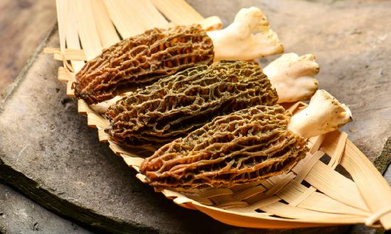 羊肚菌种植行业现状及前景分析2024