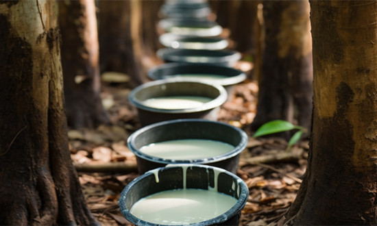 乳胶行业市场分析及未来趋势展望2024