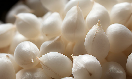 蚕蛹养殖行业发展现状及未来市场前景