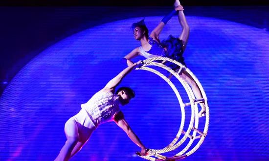 2024杂技行业市场现状及前景预测